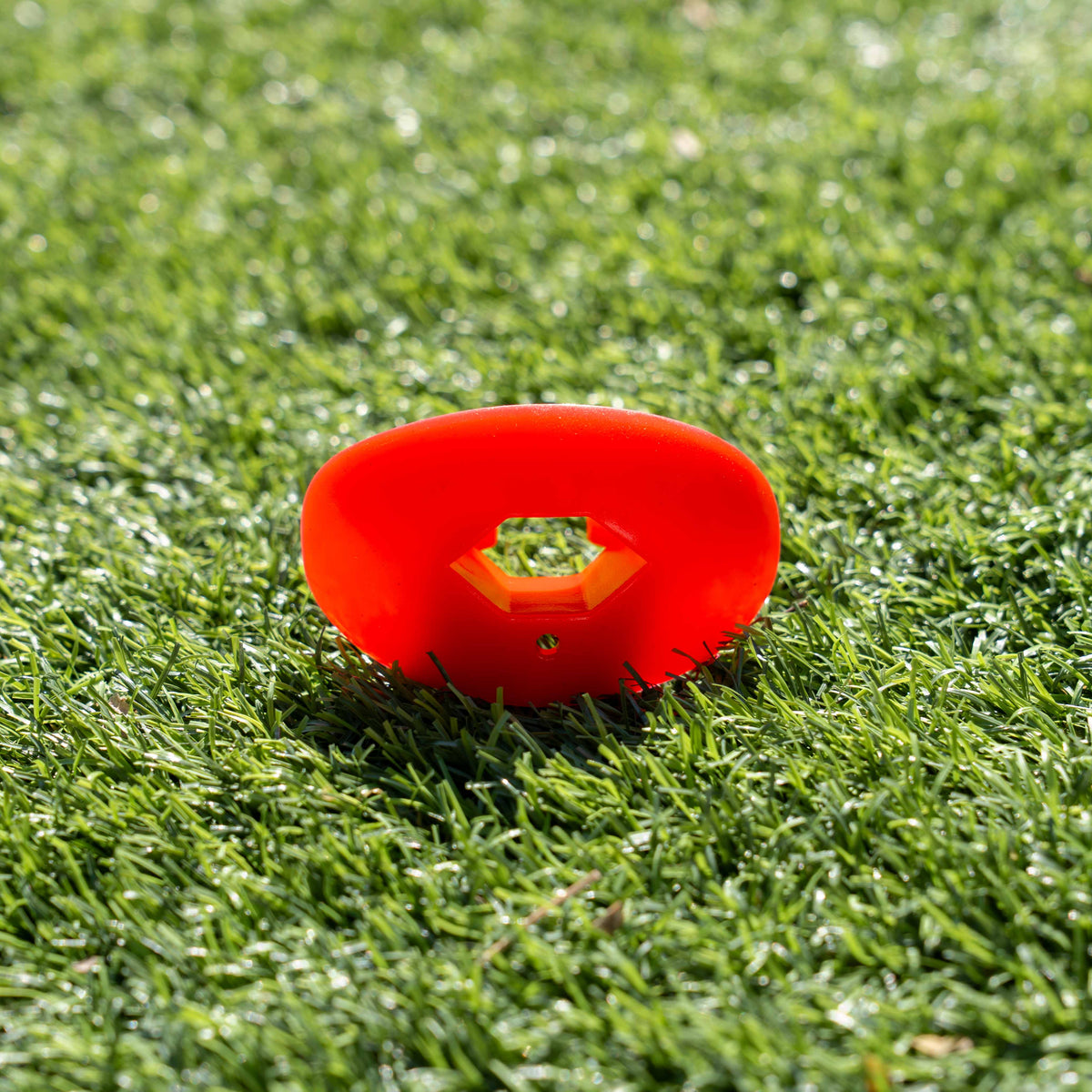 Mouth Guard