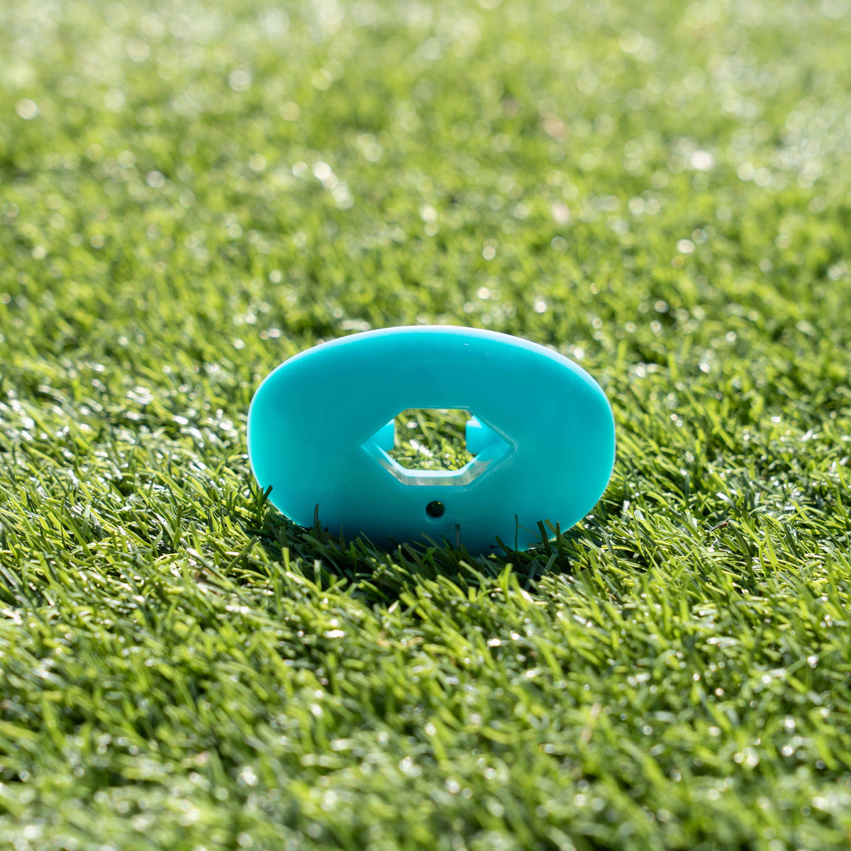Mouth Guard