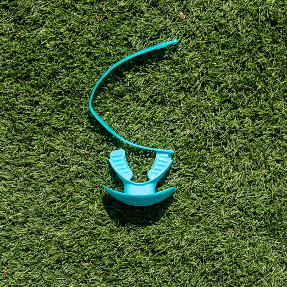 Mouth Guard