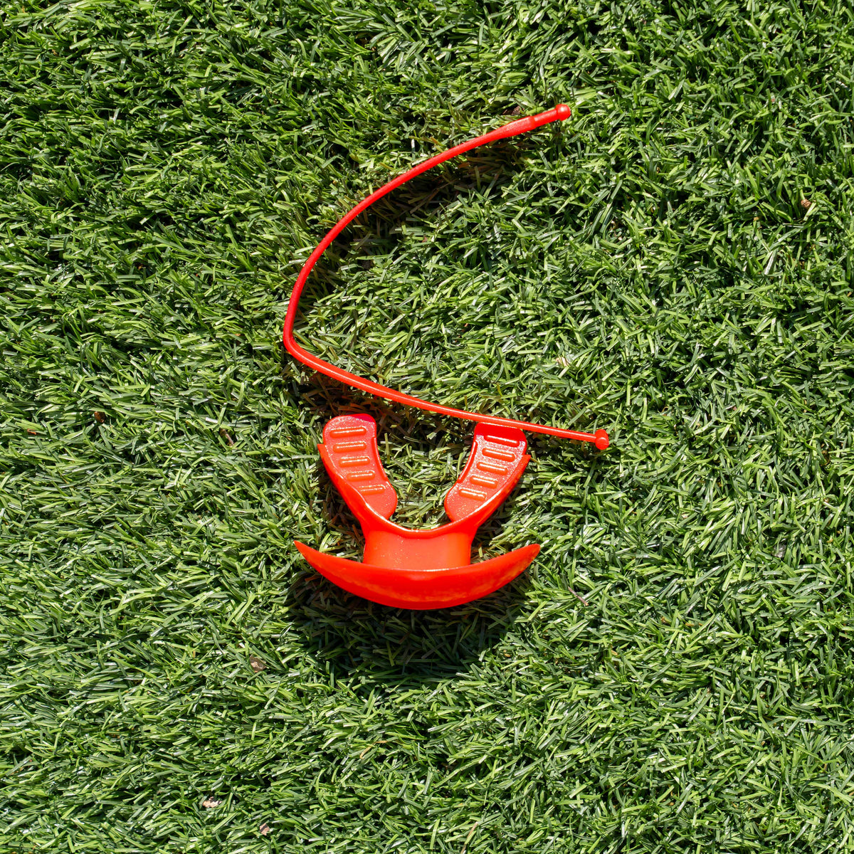 Mouth Guard