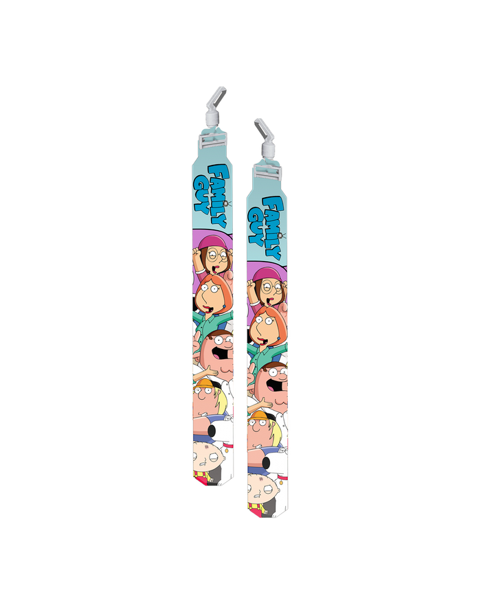 Family Guy Flag Set